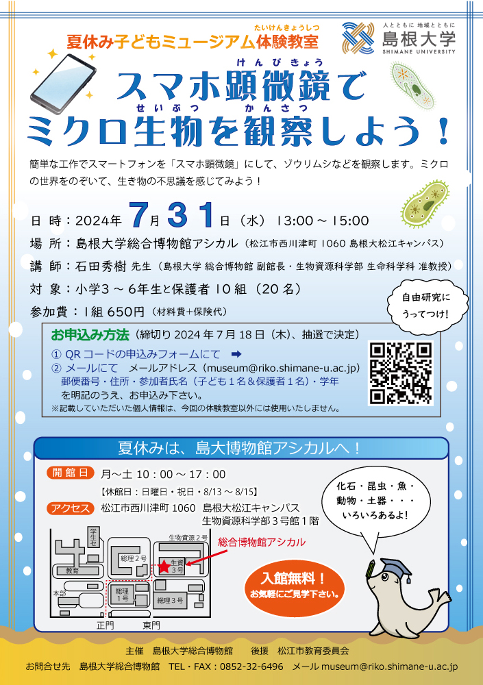 チラシ